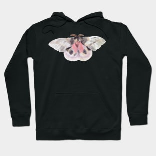 Tropical light moth Hoodie